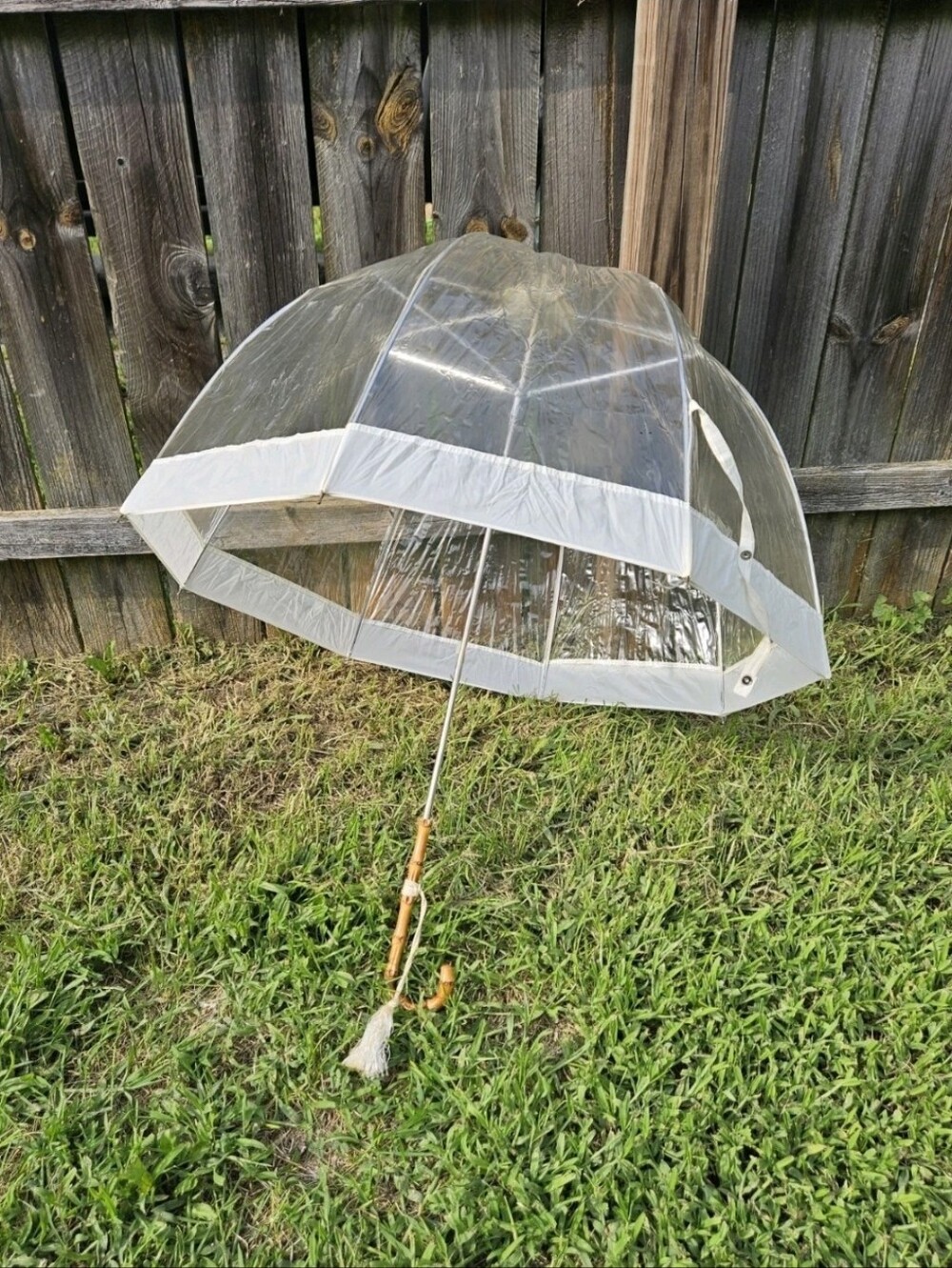 Vintage Clear Bubble Umbrella Dome Mod Gogo White Trim Whangee Bamboo Handle